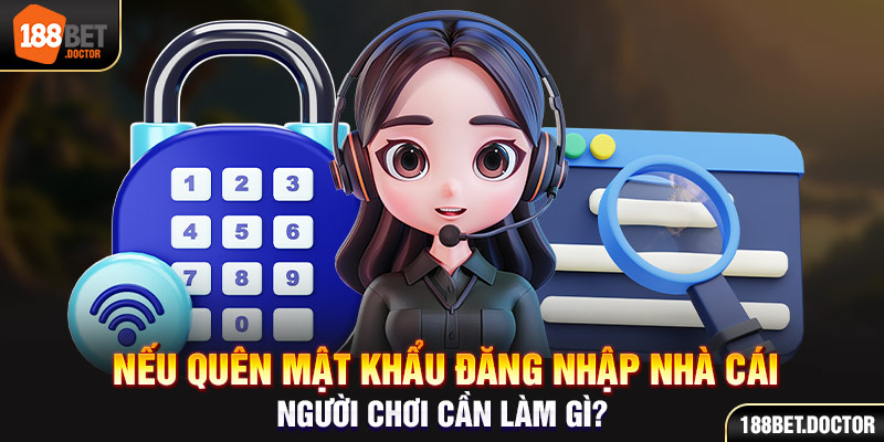 Bodog net